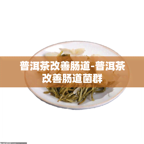 普洱茶改善肠道-普洱茶改善肠道菌群