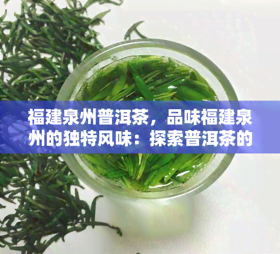 福建泉州普洱茶，品味福建泉州的独特风味：探索普洱茶的世界