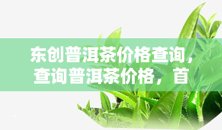 东创普洱茶价格查询，查询普洱茶价格，首选东创普洱茶官网！