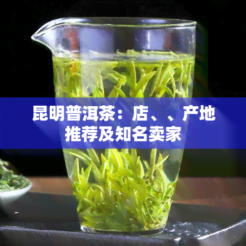 昆明普洱茶：店、、产地推荐及知名卖家