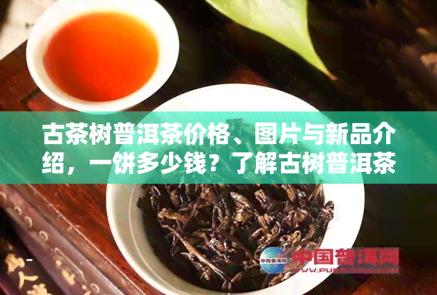 古茶树普洱茶价格、图片与新品介绍，一饼多少钱？了解古树普洱茶叶及茶树详情