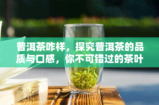 普洱茶咋样，探究普洱茶的品质与口感，你不可错过的茶叶新宠！