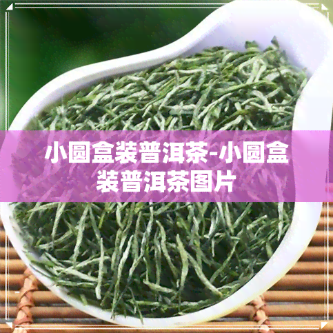 小圆盒装普洱茶-小圆盒装普洱茶图片