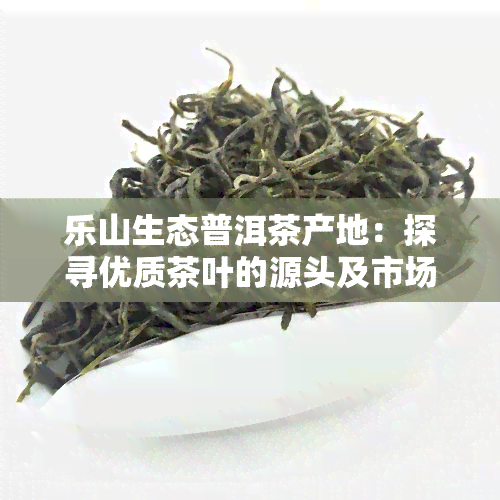 乐山生态普洱茶产地：探寻优质茶叶的源头及市场价格