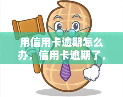 用信用卡逾期怎么办，信用卡逾期了，该怎么办？