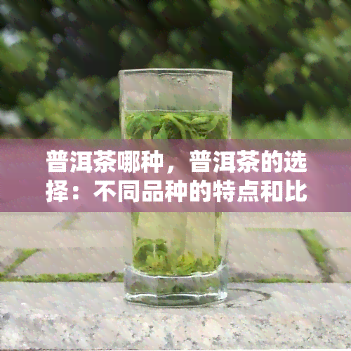 普洱茶哪种，普洱茶的选择：不同品种的特点和比较