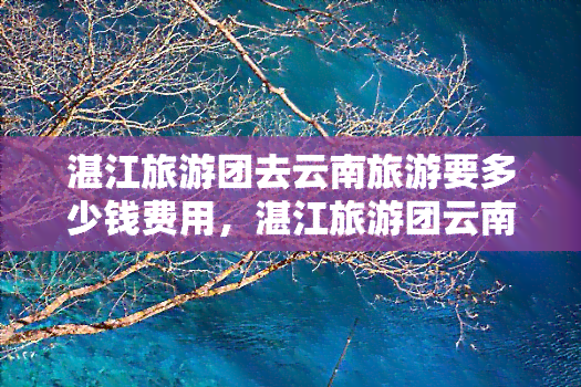 湛江旅游团去云南旅游要多少钱费用，湛江旅游团云南游价格是多少？费用全揭秘！