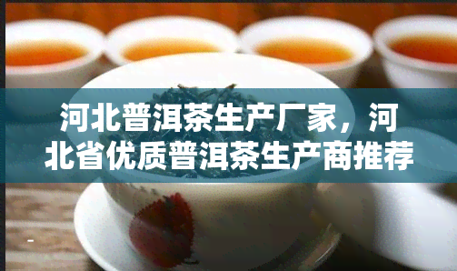 河北普洱茶生产厂家，河北省优质普洱茶生产商推荐