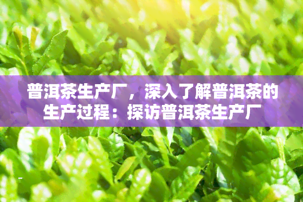 普洱茶生产厂，深入了解普洱茶的生产过程：探访普洱茶生产厂