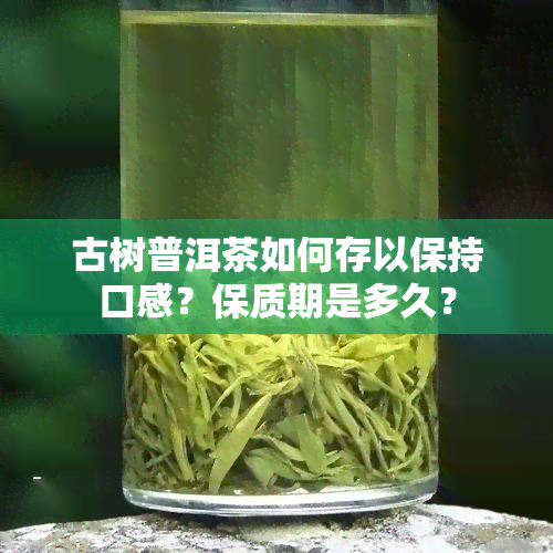 古树普洱茶如何存以保持口感？保质期是多久？