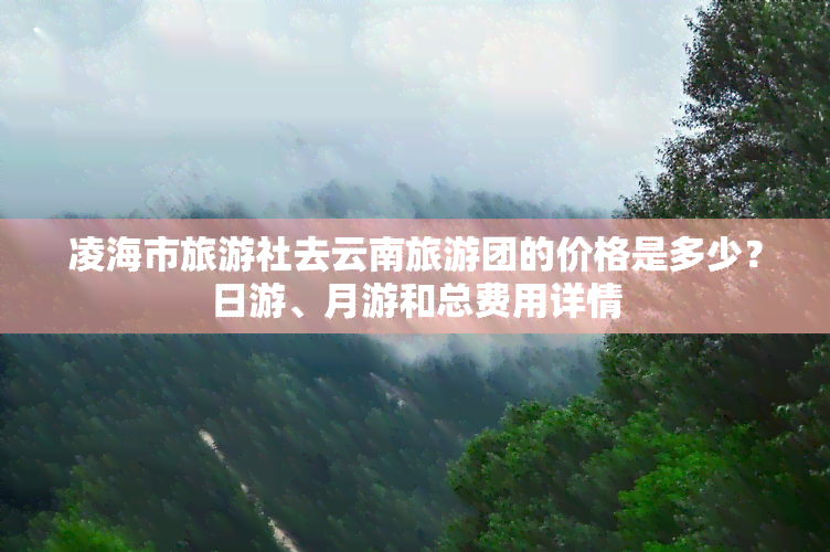 凌海市旅游社去云南旅游团的价格是多少？日游、月游和总费用详情