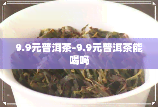 9.9元普洱茶-9.9元普洱茶能喝吗