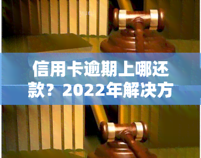 信用卡逾期上哪还款？2022年解决方案与流程全解析！