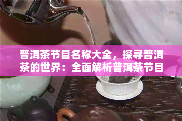 普洱茶节目名称大全，探寻普洱茶的世界：全面解析普洱茶节目的名称大全