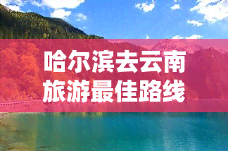 哈尔滨去云南旅游更佳路线6日游攻略及费用推荐