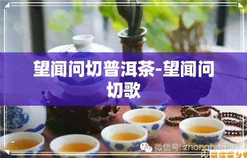 望闻问切普洱茶-望闻问切歌