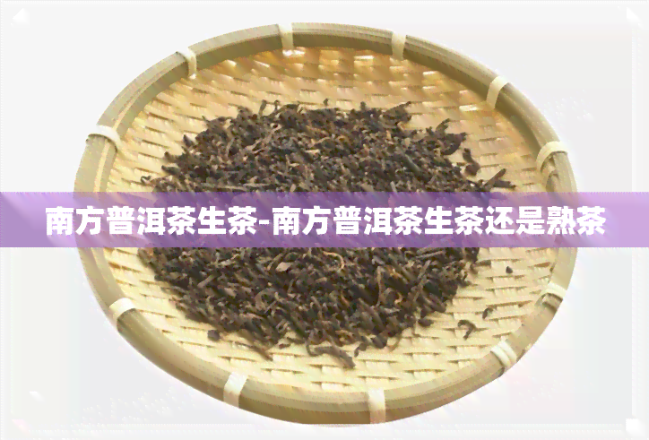 南方普洱茶生茶-南方普洱茶生茶还是熟茶