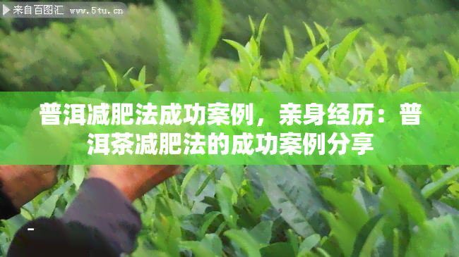 普洱减肥法成功案例，亲身经历：普洱茶减肥法的成功案例分享