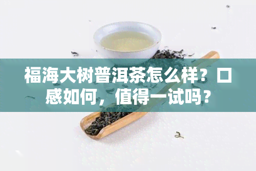 福海大树普洱茶怎么样？口感如何，值得一试吗？