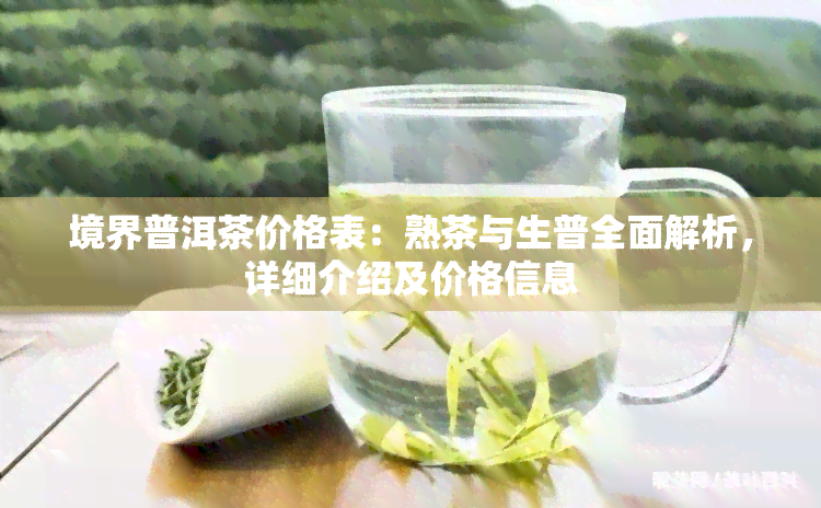 境界普洱茶价格表：熟茶与生普全面解析，详细介绍及价格信息