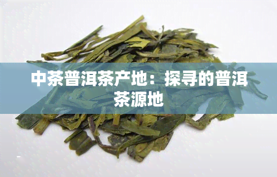 中茶普洱茶产地：探寻的普洱茶源地