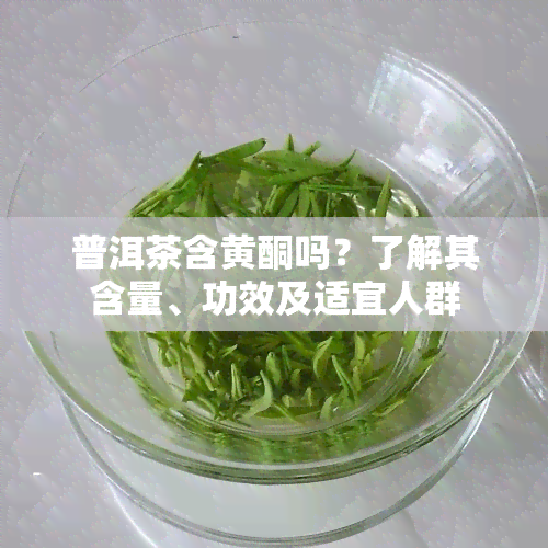 普洱茶含黄酮吗？了解其含量、功效及适宜人群