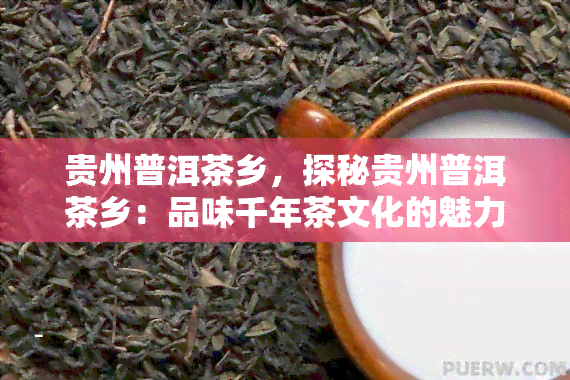 贵州普洱茶乡，探秘贵州普洱茶乡：品味千年茶文化的魅力