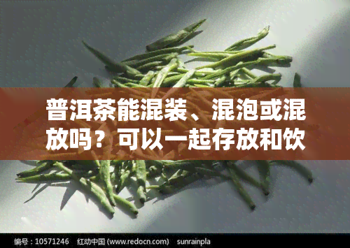 普洱茶能混装、混泡或混放吗？可以一起存放和饮用吗？