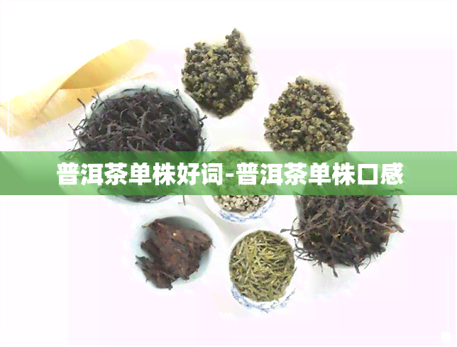 普洱茶单株好词-普洱茶单株口感