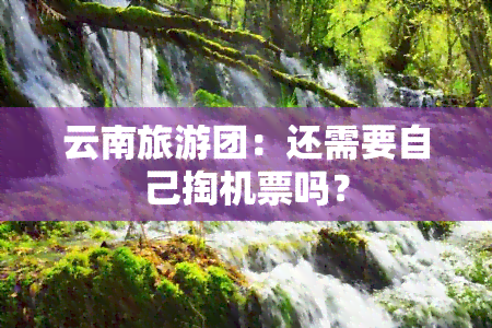 云南旅游团：还需要自己掏机票吗？