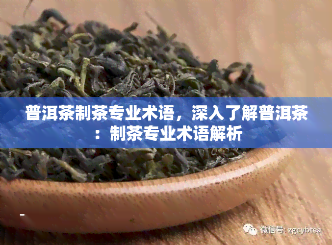 普洱茶制茶专业术语，深入了解普洱茶：制茶专业术语解析