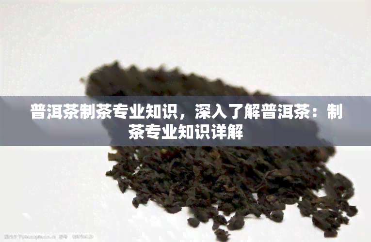 普洱茶制茶专业知识，深入了解普洱茶：制茶专业知识详解