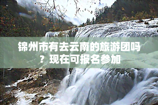 锦州市有去云南的旅游团吗？现在可报名参加