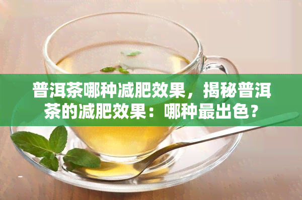 普洱茶哪种减肥效果，揭秘普洱茶的减肥效果：哪种最出色？