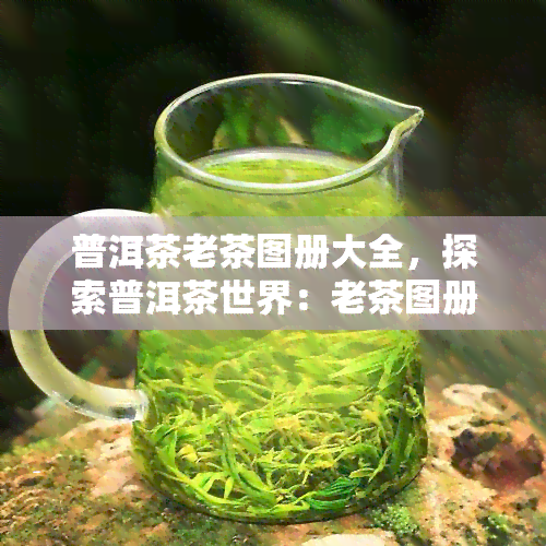 普洱茶老茶图册大全，探索普洱茶世界：老茶图册大全，带你了解历悠久的普洱茶文化