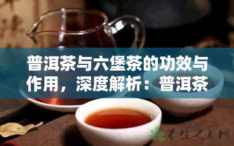 普洱茶与六堡茶的功效与作用，深度解析：普洱茶与六堡茶的神奇功效与作用