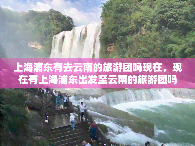 上海浦东有去云南的旅游团吗现在，现在有上海浦东出发至云南的旅游团吗？