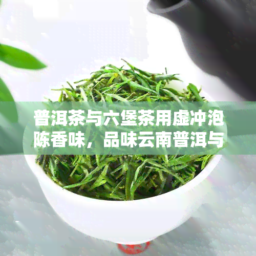 普洱茶与六堡茶用虚冲泡陈香味，品味云南普洱与广西六堡的陈香：一种虚冲泡的魅力