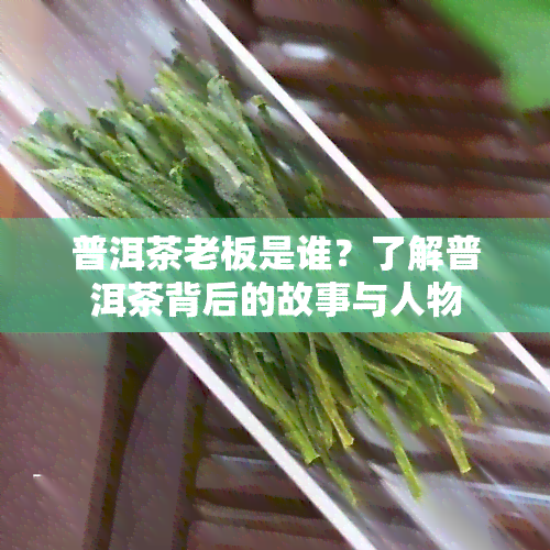 普洱茶老板是谁？了解普洱茶背后的故事与人物