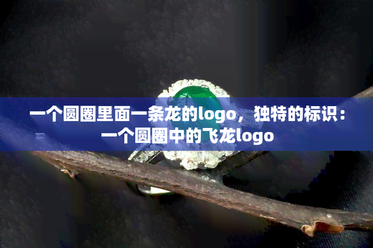 一个圆圈里面一条龙的logo，独特的标识：一个圆圈中的飞龙logo