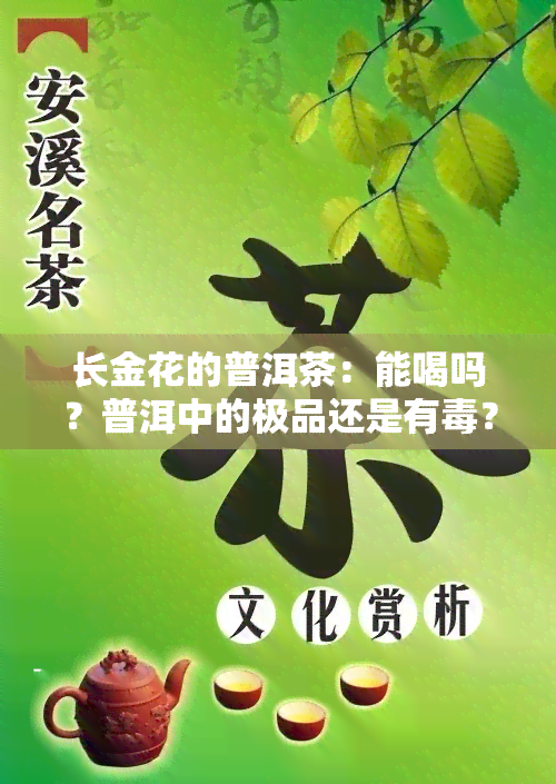 长金花的普洱茶：能喝吗？普洱中的极品还是有？百度百科与图片欣