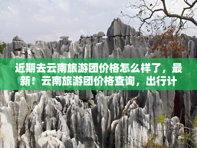 近期去云南旅游团价格怎么样了，最新！云南旅游团价格查询，出行计划必备