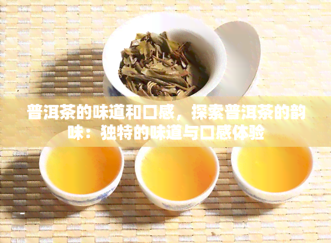 普洱茶的味道和口感，探索普洱茶的韵味：独特的味道与口感体验