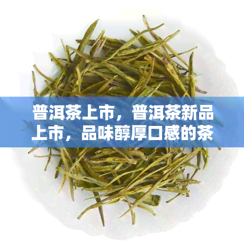 普洱茶上市，普洱茶新品上市，品味醇厚口感的茶香时刻！