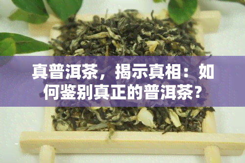 真普洱茶，揭示真相：如何鉴别真正的普洱茶？