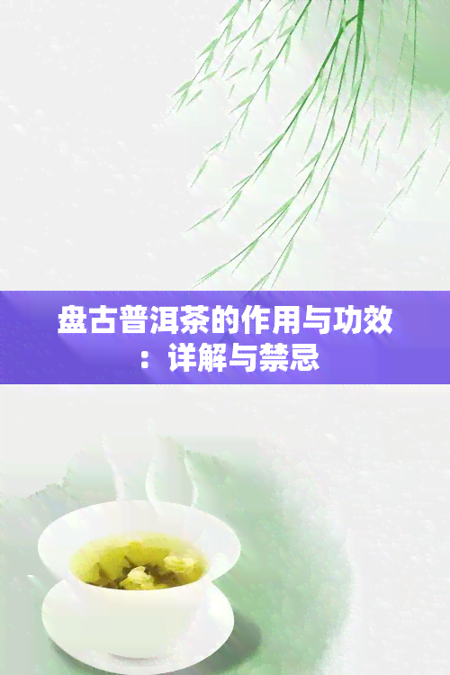 盘古普洱茶的作用与功效：详解与禁忌