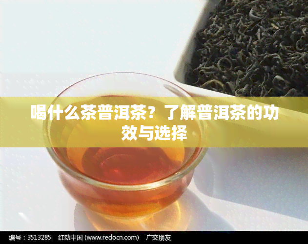 喝什么茶普洱茶？了解普洱茶的功效与选择