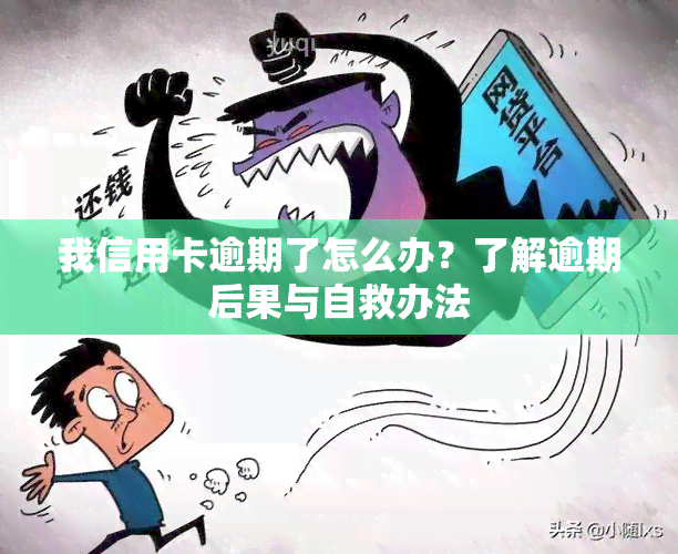 我信用卡逾期了怎么办？了解逾期后果与自救办法