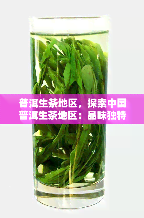 普洱生茶地区，探索中国普洱生茶地区：品味独特的茶叶文化与历