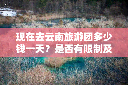 现在去云南旅游团多少钱一天？是否有限制及需要核酸检测？